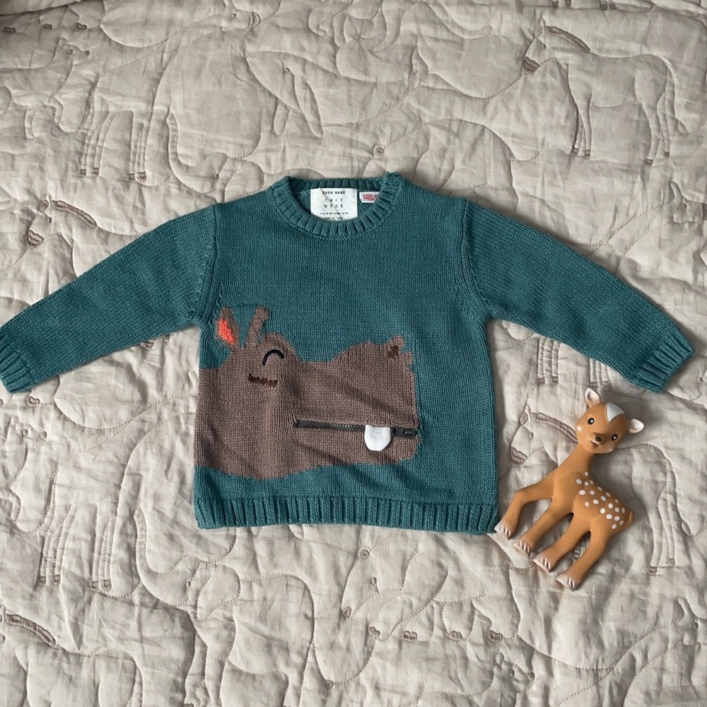 Zara hippopotamus sweater